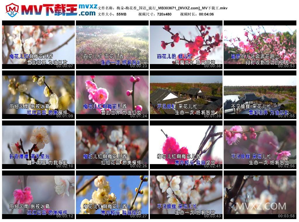 梅朵-梅花香_国语_流行_MB303671